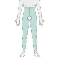 Pants with Leg excluding Sock - Long Legs