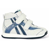 JS01 SURF/V