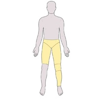 Pants with Leg excluding Sock - Short Legs